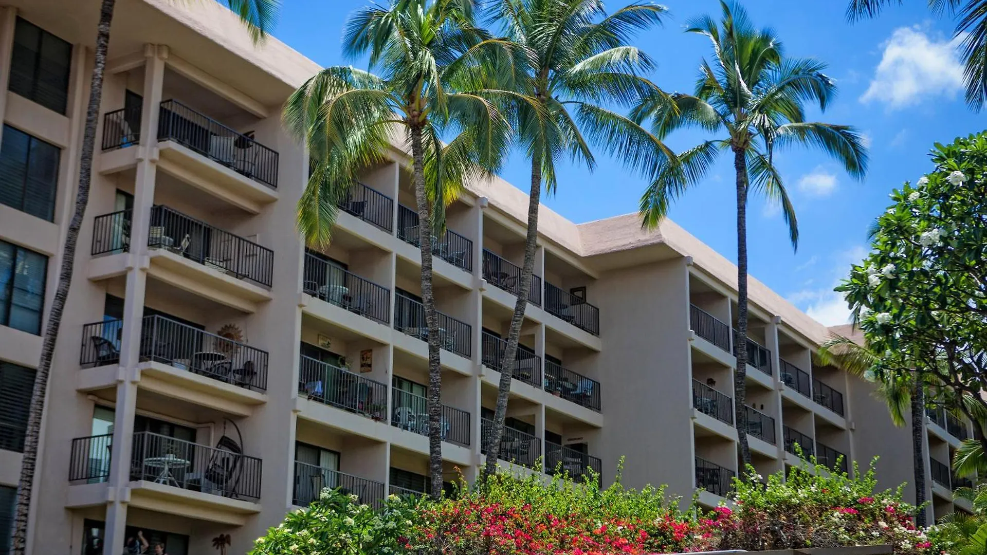 Kihei Akahi D209 - Mch Villa Amerikai Egyesült Államok